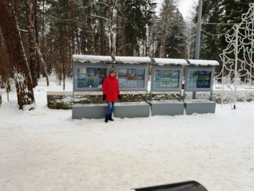 2017 год - Вернисаж в городском парке 