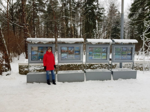 2017 год - Вернисаж в городском парке 